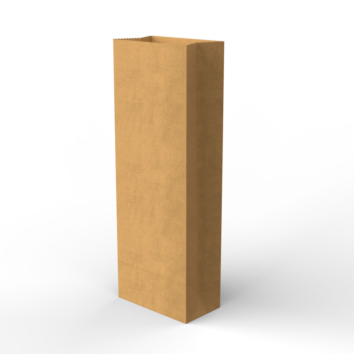 Paper Kraft Food Bags
