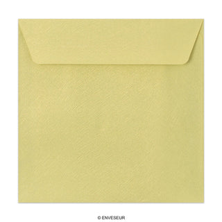 Textured Envelopes