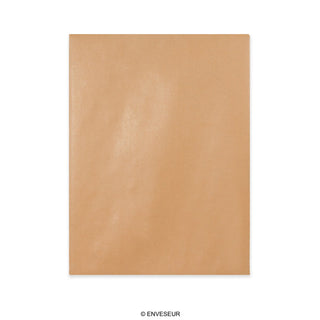 Manilová Obálka s Kartonovou Zadní Stěnou 430x320 mm