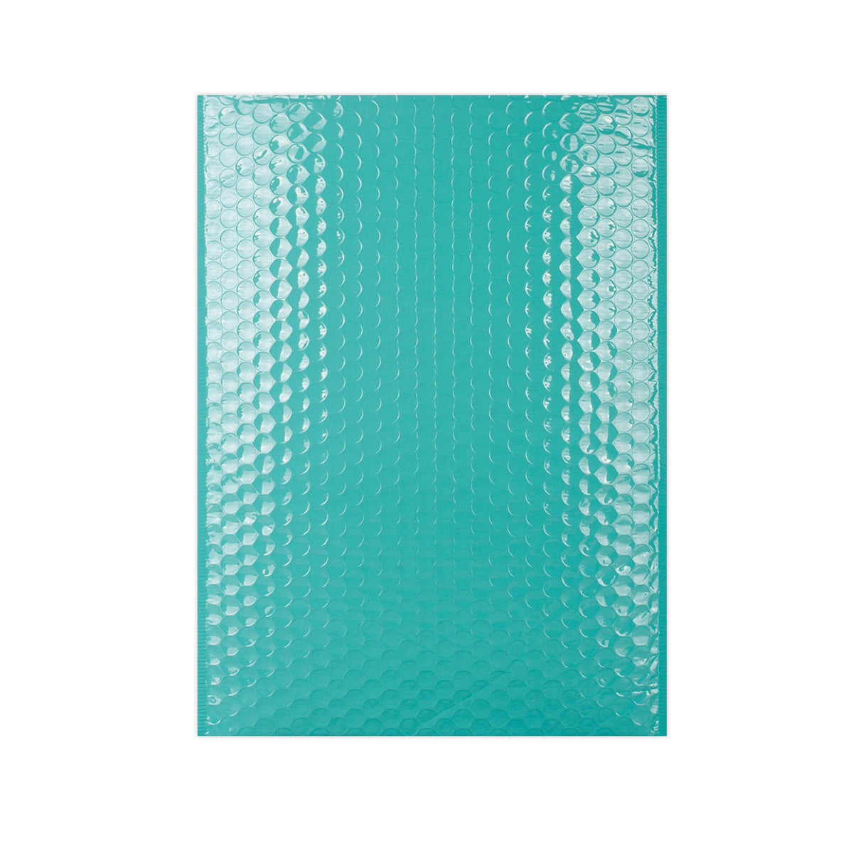 Gloss Finish Bubble Bag Mailers