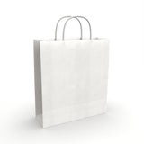 Twist Handle Paper Bags