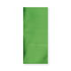 Matt Finish Foil Bags Green 220 x 110 mm (DL)